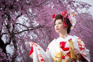 桜ロケ祭り２０１５　VOL.1